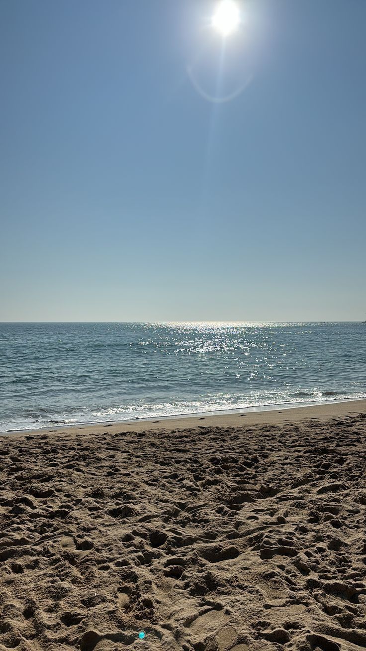 MUSIC AT SEA (3).jpg