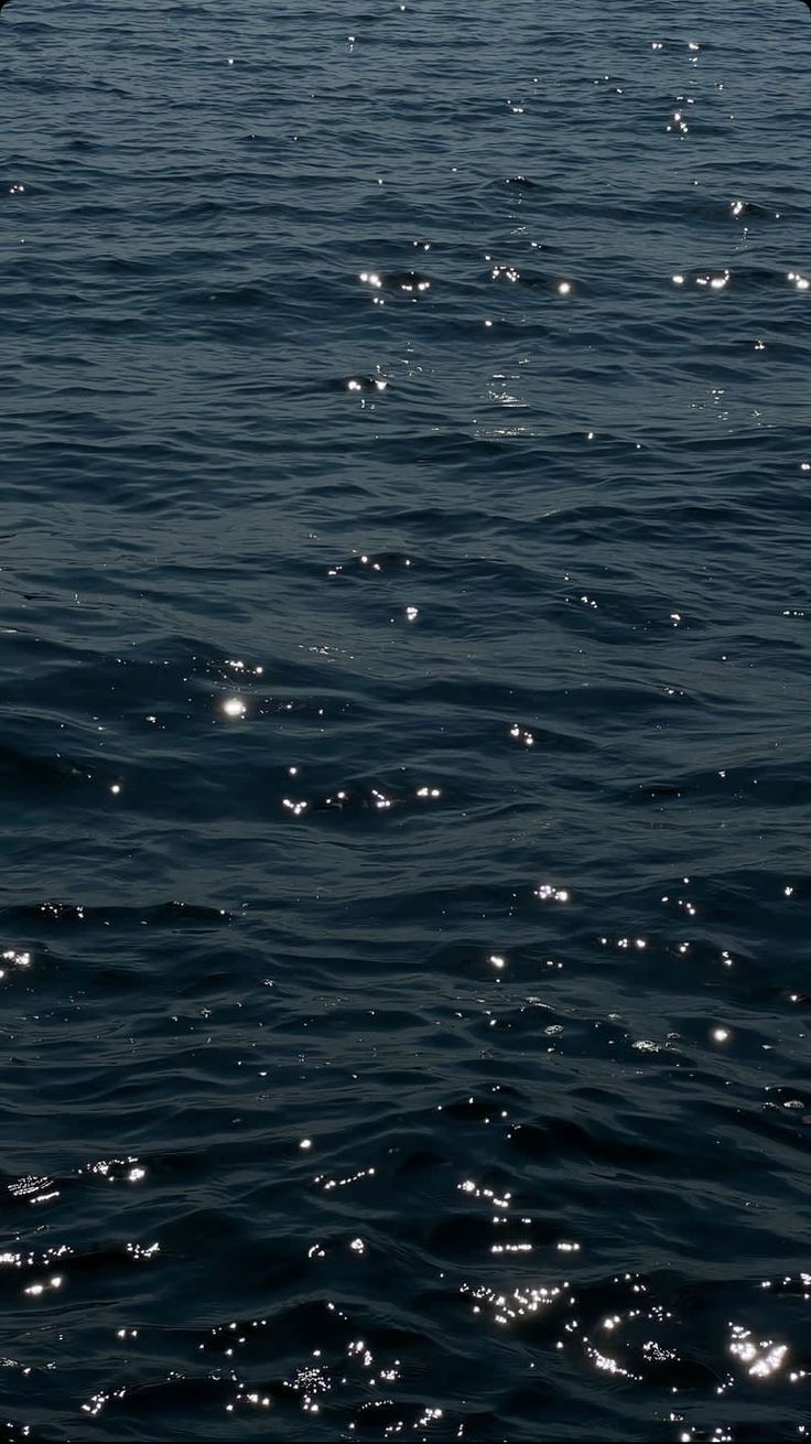 MUSIC AT SEA (2).jpg