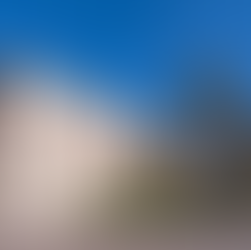 Un nuevo capítulo para Blossom: nos vamos al Museo de Málaga