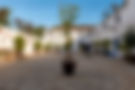 CPT_GOMA_CORTIJO_SAN_ANTONIO_019.jpg