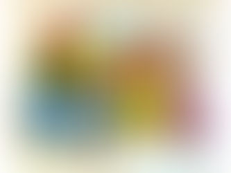 1月のレッスンのご報告です