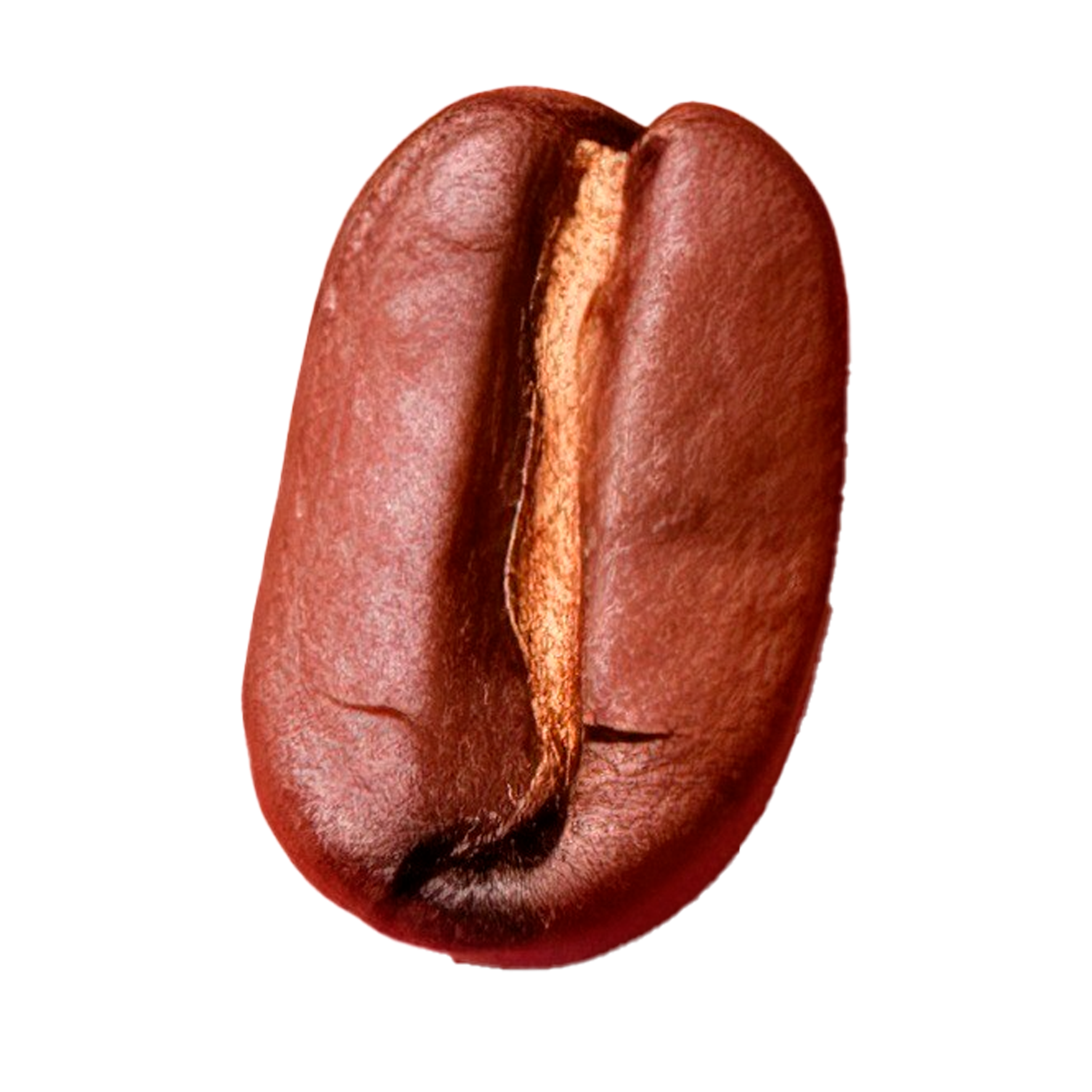 Untitled-4.png
