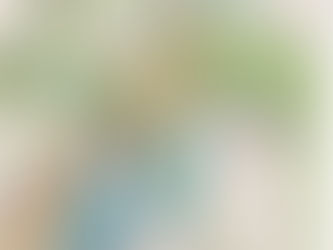 सुभद्रा दीदी 