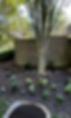 kyard (6)_edited.jpg