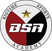 bsa logo png.png