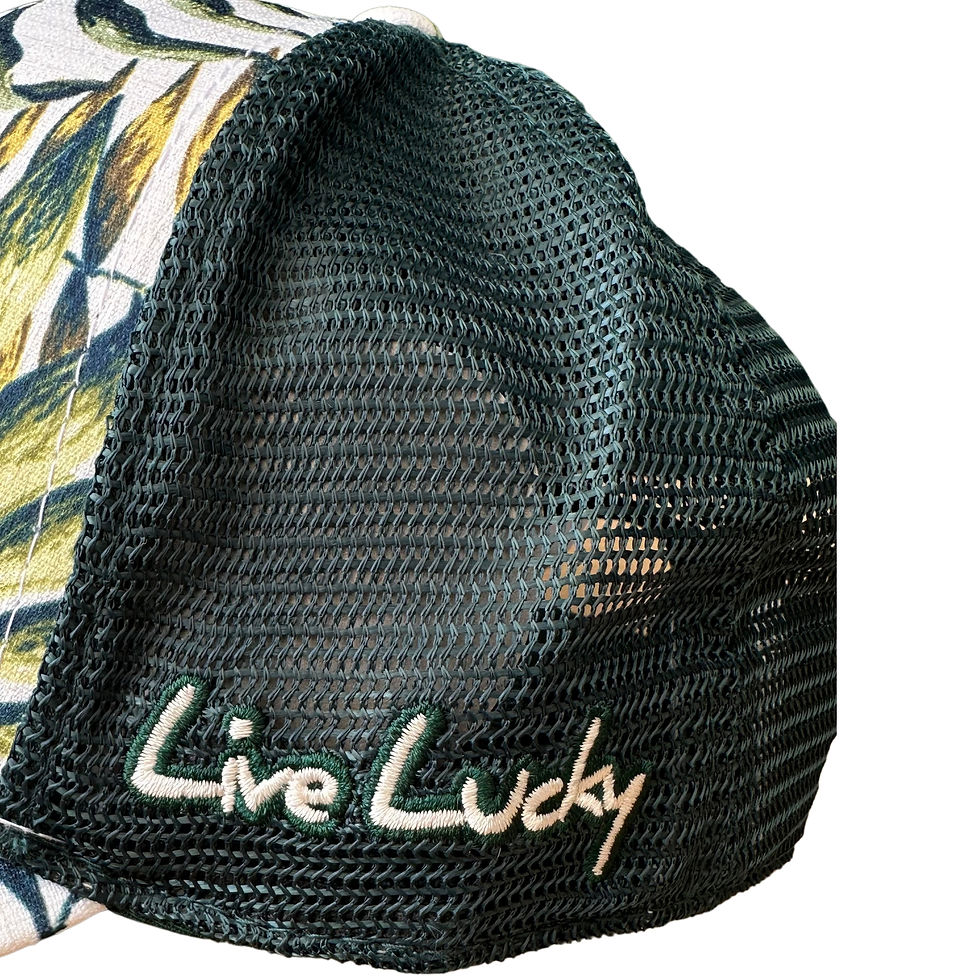 Miniatura: Gorra Black Clover Island Luck 10