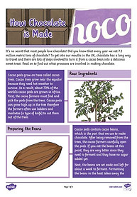 year-6-reading-comprehension-explanation.350086340-1.jpg