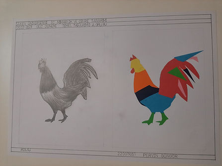 20221222_231609 - Kopya.jpg