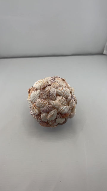 Thumbnail: Cardita orb