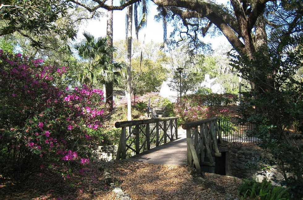 Azalea Park FL