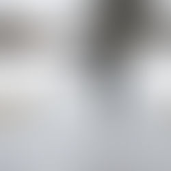 Slipped on Ice? Why Illinois Law Protects Property Owners (And How We Fight Back)