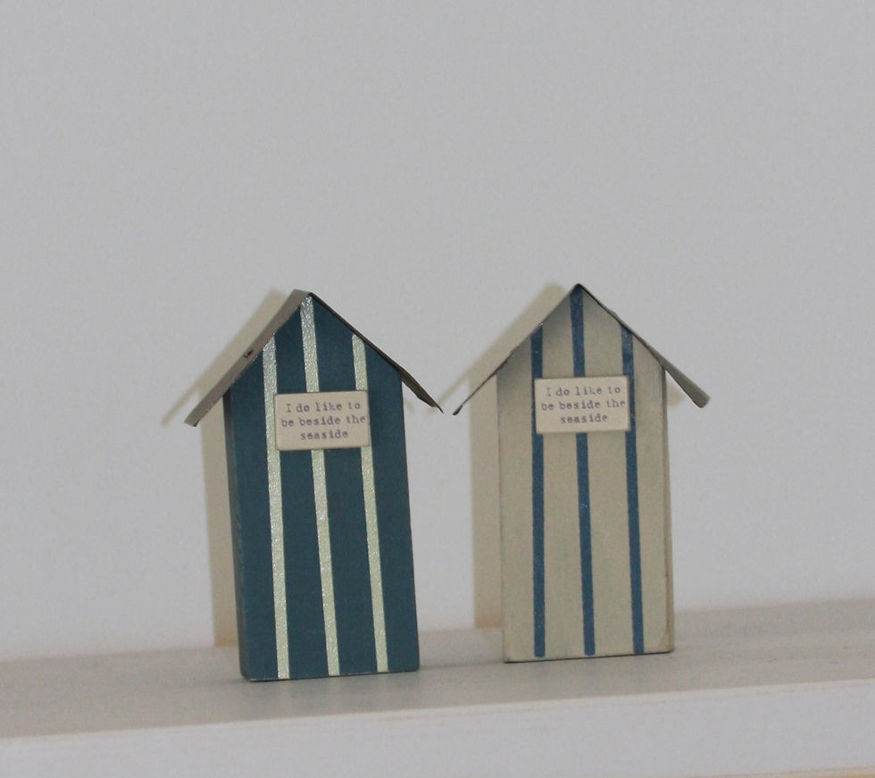 MINI TIN ROOF BEACH HUTS