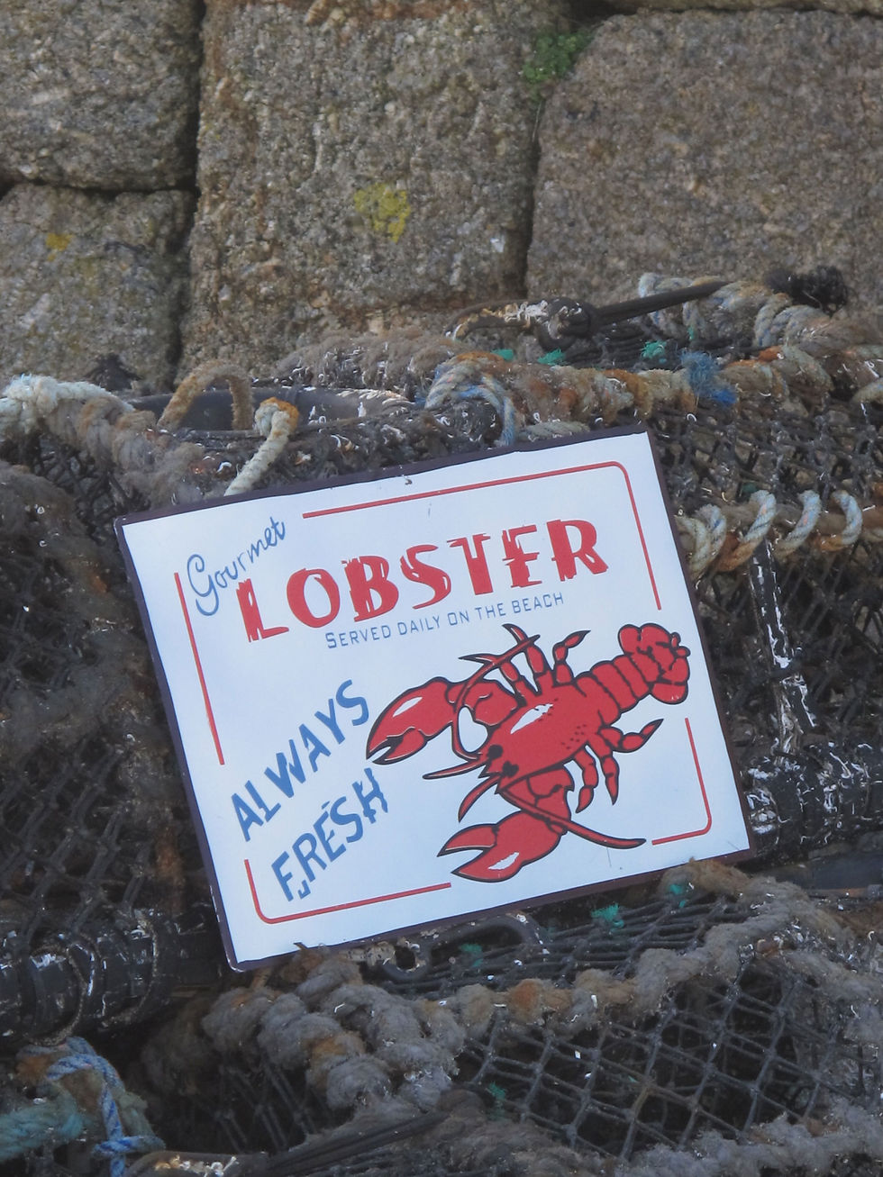 Thumbnail: LOBSTER TIN SIGN