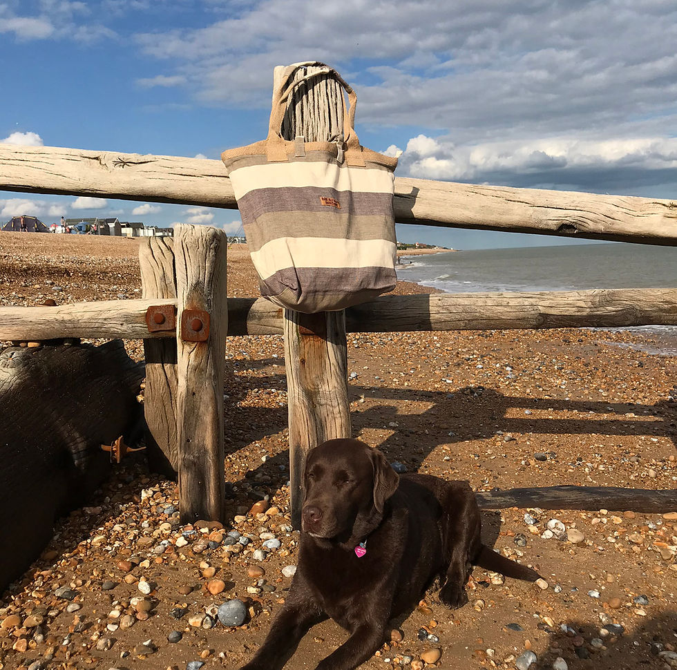 Thumbnail: BILL BROWN BEACH BAG IN DRIFTWOOD