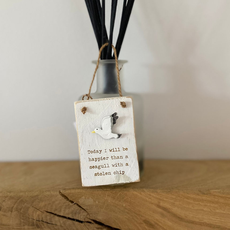 Happy as a Seagull mini hanging sign with seagull illustration and humorous seaside quote