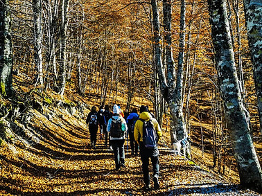 GIRO DELLE TRE FONTI, TERMINILLO.jpg