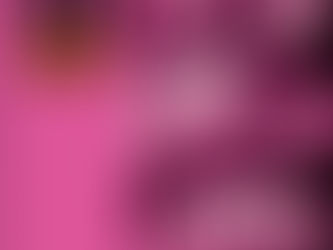 Xican-a.o.x. Body Catalog