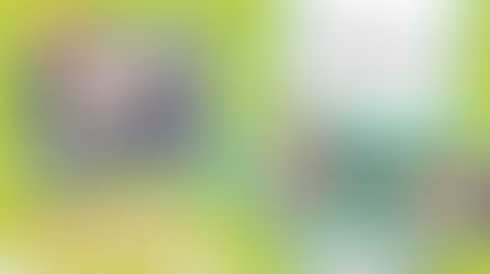 //校園專訪// 香海正覺蓮社佛教正慧小學書展