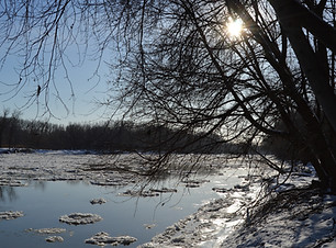 DSC_0046.JPG
