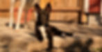 73793B9C-C648-4452-86F8-37ABE7CE9C95_edited.jpg