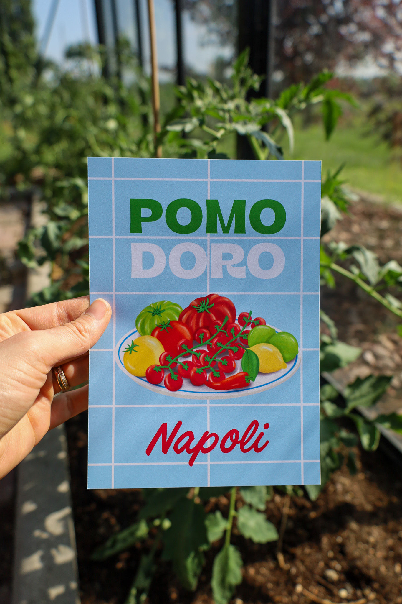 Pomo doro Napoli