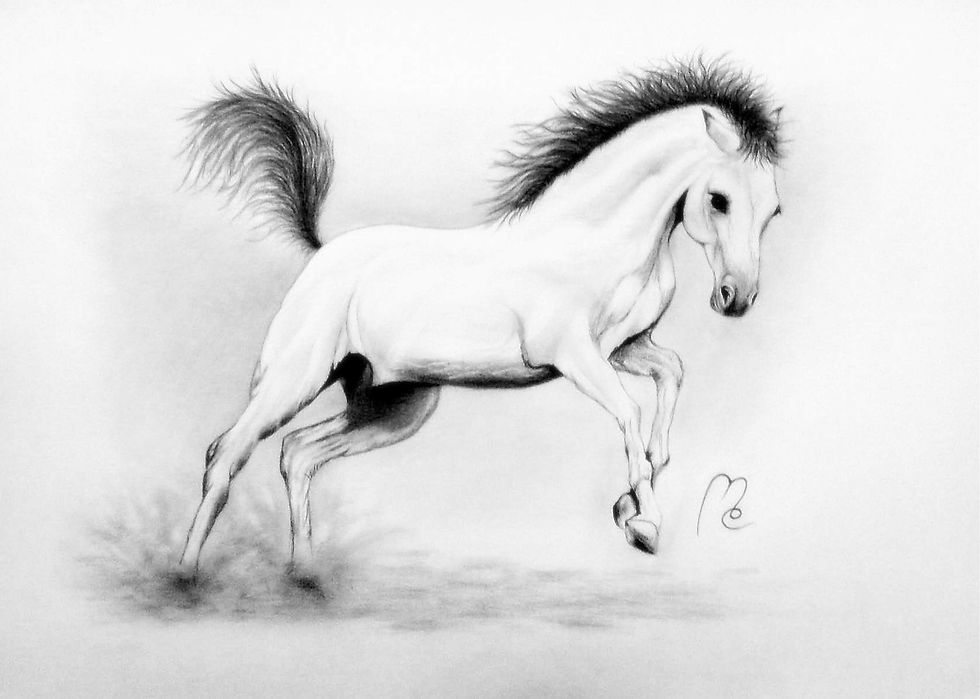 weiser Blitz - 7.jpg