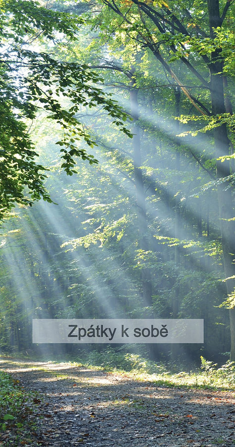 Forest_edited.jpg