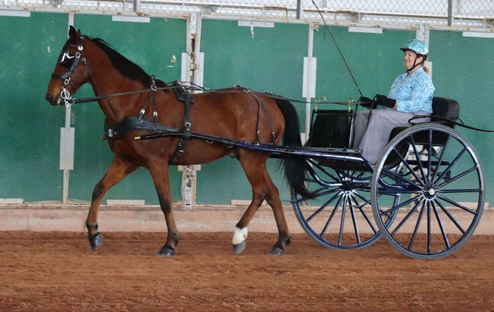 Corsair Riding, Driving, and Social Club Horse Show