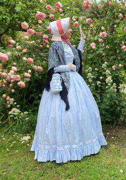 Robe de jour 1850