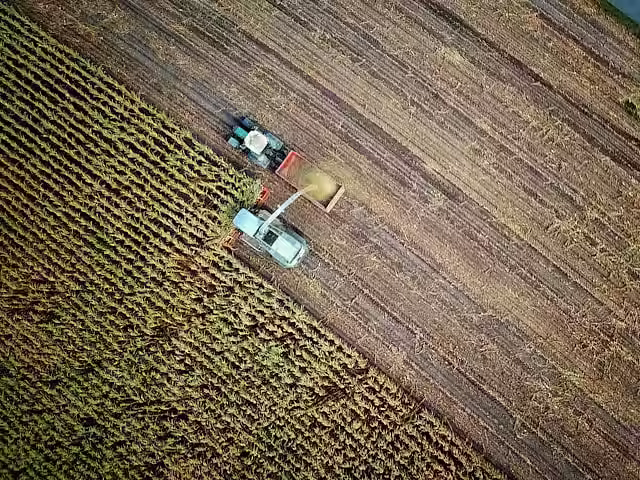 foodtechbiz_2025-01-18_t19j4hrc_no-one-cares-l5MJnbrmrs-unsplash.avif