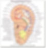 Acupuncture Ear Map