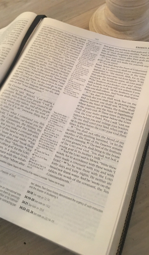 exodus 34.jpg