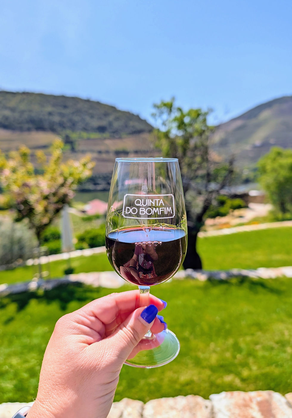 A Perfect Day at Quinta do Bomfim