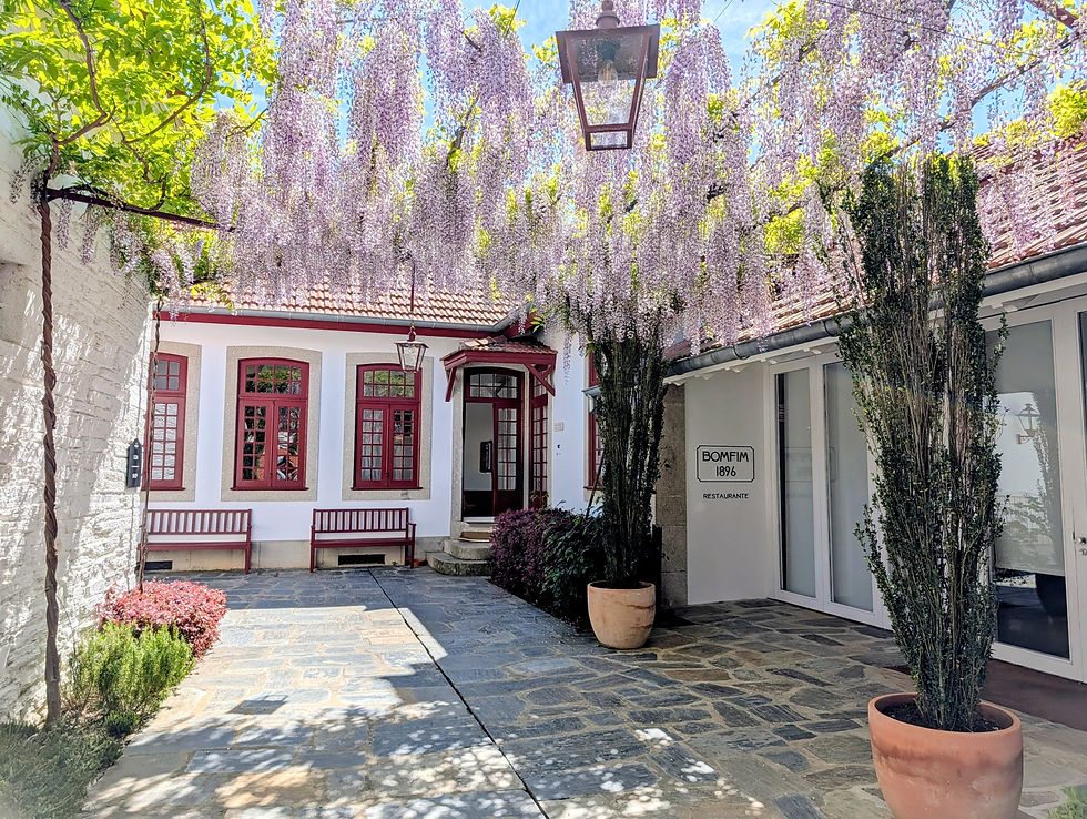 Wisteria cascading over the entrance to Bomfim 1896