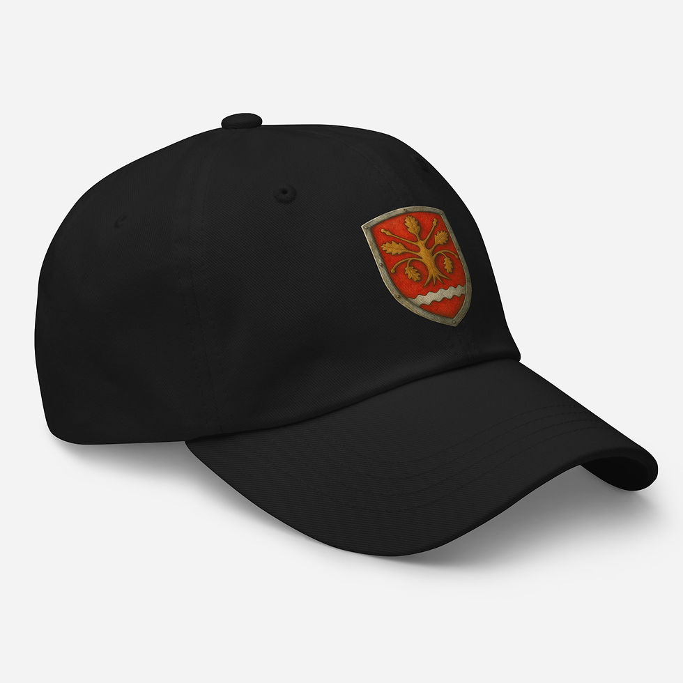 Thumbnail: Finström Dad hat