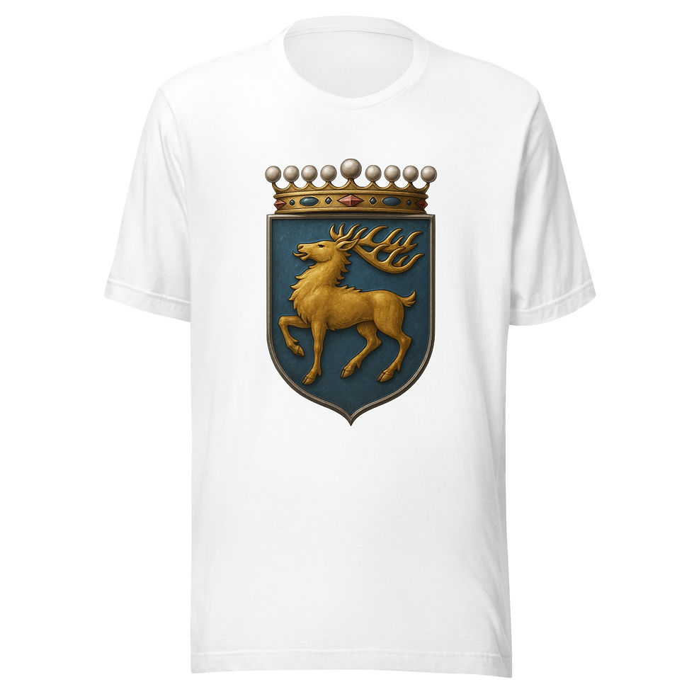 Thumbnail: Åland Shield Unisex t-shirt