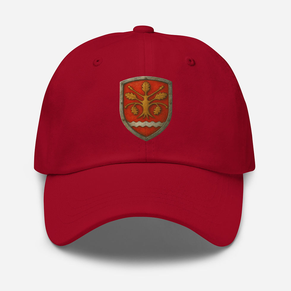 Thumbnail: Finström Dad hat