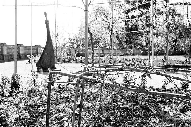Sculpture Garden