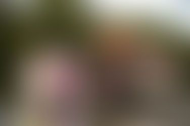 「宵の明治村」いよいよ今週末までです!!