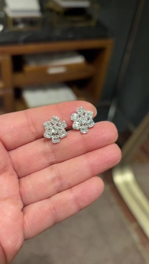 Miniatura: Aretes