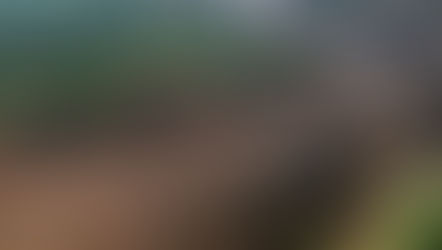 Lançado projeto Legado de Brumadinho