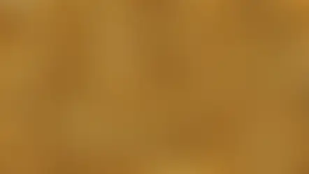 Nove toneladas de rocha para achar um grama de ouro: como é a mineração do metal sensação de 2024