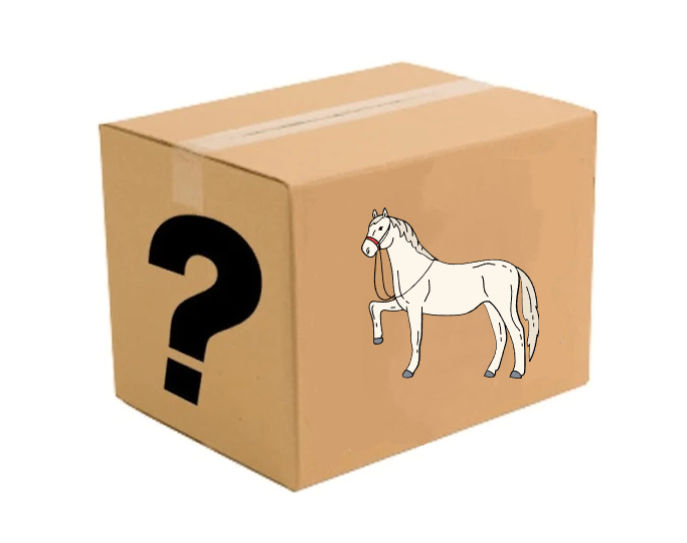 Horse Mystery Box