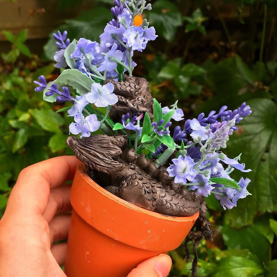 Thumbnail: 'Talulah' - the potted lavender dragon