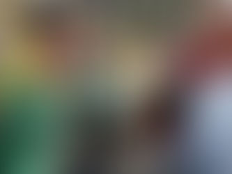 POR QUE O RADICALISMO NÃO É A SOLUÇÃO?