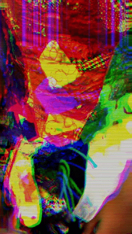 giphy.gif