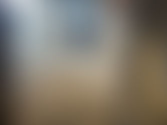 Profesional Carpet Cleaning in Grand Rapids | ABC Carpet Care