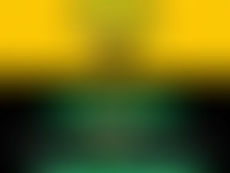 Community Joins Hands to Clean Illegal Dumping Site in JB Marks Ward 01