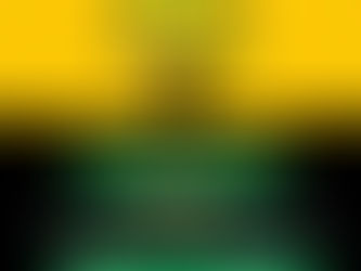 Letsema Monday Programme Brings Community Spirit to Ward 20