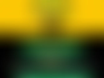 Letsema Monday Programme: Ward 01 Tackles Illegal Dumping